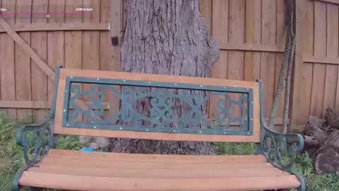 Snapshot of ells_palace chatting on September 13, 5:13 pm Ella Bella Bo Bella online show from September 13, 5:13 pm