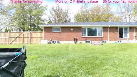 Snapshot of ells_palace chatting on May 12, 1:52 pm Ella Bella Bo Bella online show from May 12, 1:52 pm