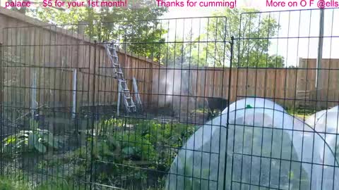 Snapshot of ells_palace chatting on June 1, 1:35 pm Ella Bella Bo Bella online show from June 1, 1:35 pm