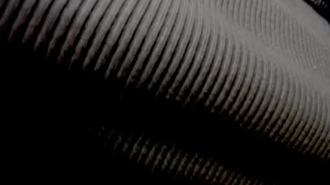 Elly online show from April 27, 11:30 am