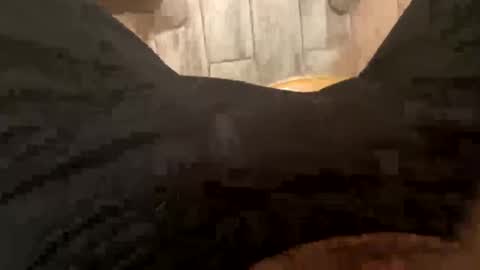 El Parador online show from December 8, 7:58 am