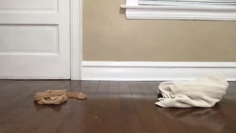 Snapshot of eltruerey chatting on October 15, 4:56 am Bi Bro online show from October 15, 4:56 am