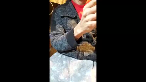 Snapshot of elvergg1 chatting on January 19, 7:12 am elvergg1 online show from January 19, 7:12 am