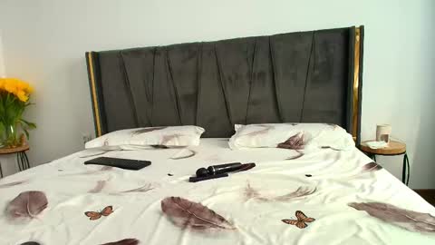 Ely online show from February 19, 8:33 am