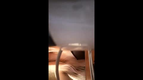 Elza Kom online show from December 17, 6:30 am