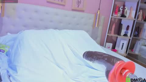 Emily Sarai online show from November 12, 8:08 pm