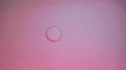   online show from January 24, 3:43 am