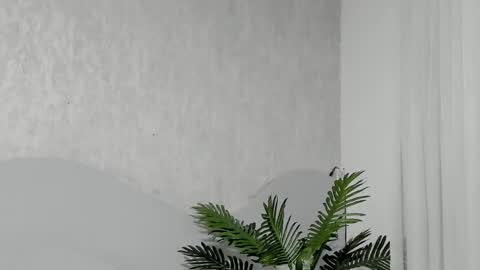 Snapshot of emma_morgann chatting on February 25, 11:20 am Emma Morgann online show from February 25, 11:20 am