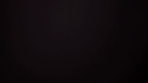     online show from February 13, 10:02 am