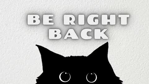   online show from February 22, 11:31 am