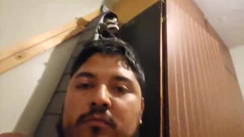 engineer_model_2022 online show from March 1, 4:25 am