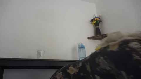 Rosie online show from February 22, 10:51 am