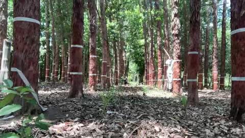 Luke online show from November 26, 1:45 pm