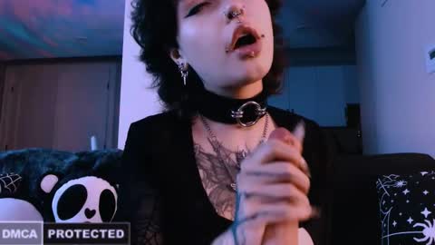 Rainbow on your spoon online show from February 5, 3:00 am