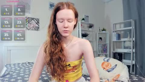 Sofia online show from November 20, 8:03 am