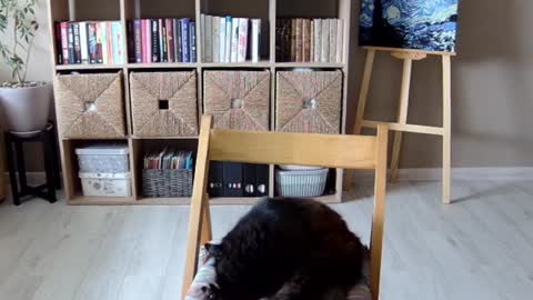 Snapshot of erotic_vibe chatting on October 1, 11:49 am Melissa online show from October 1, 11:49 am