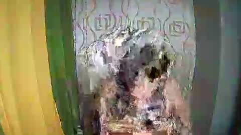 Ervana online show from February 11, 5:07 pm