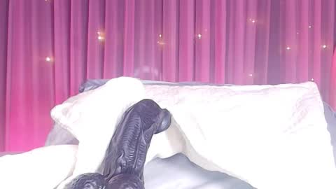 Estrella online show from February 24, 11:52 am