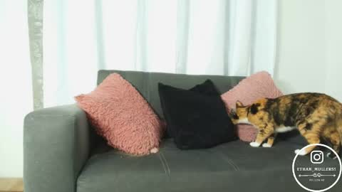 Ethan Muller online show from April 15, 10:55 am