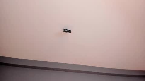 EVA  online show from February 25, 2:22 pm