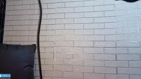 eva delight online show from April 14, 12:00 pm