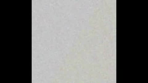 Eva online show from March 2, 10:24 am