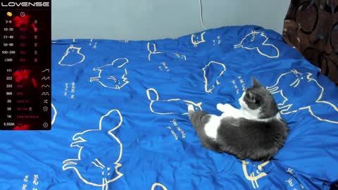 Eva online show from January 17, 1:03 pm