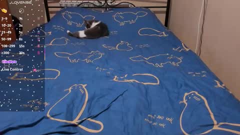 Snapshot of eva_zero chatting on February 8, 2:09 pm Eva online show from February 8, 2:09 pm