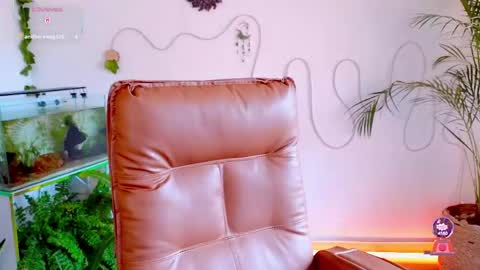 Snapshot of evelyn_chelle chatting on May 4, 6:37 pm Im Eve or Chelle Next Stream 191224 online show from May 4, 6:37 pm