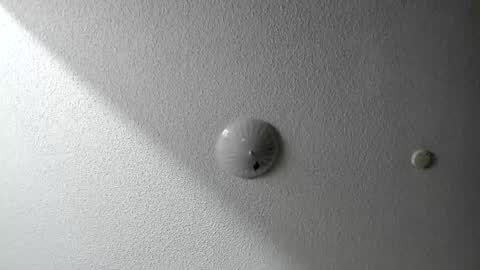 Snapshot of evparrish chatting on January 20, 6:42 am EV Parrish online show from January 20, 6:42 am