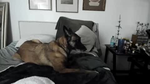 Snapshot of evparrish chatting on February 2, 4:48 am EV Parrish online show from February 2, 4:48 am