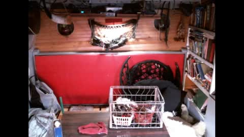 Snapshot of evpierce chatting on March 30, 4:24 am EvPierce online show from March 30, 4:24 am