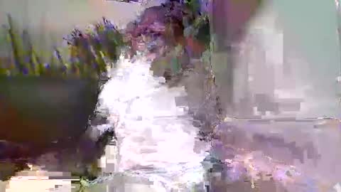 Naaktloper online show from February 9, 3:49 pm