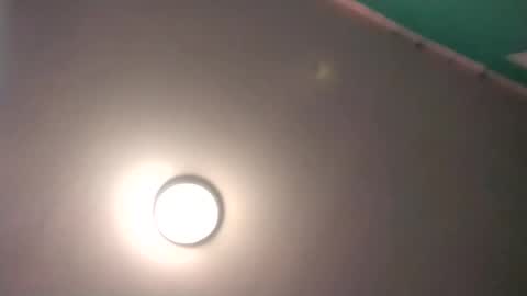 experttreecompany online show from February 17, 9:54 pm