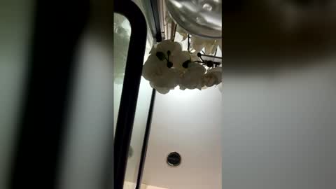 Snapshot of fabiolacal11 chatting on February 28, 5:52 am fabiolacal11 online show from February 28, 5:52 am