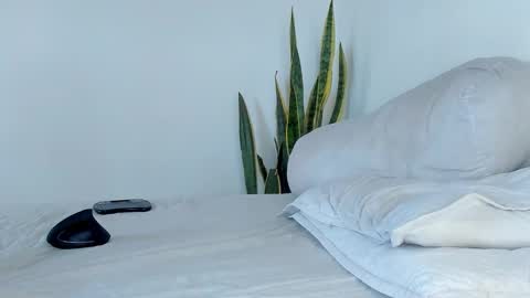 -  A N D E R online show from November 9, 2:04 pm