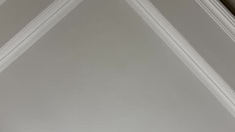 Snapshot of famsea chatting on November 10, 1:48 am famsea online show from November 10, 1:48 am