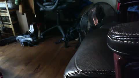 Shawn online show from September 15, 1:33 pm