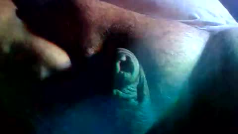 Snapshot of fatguyslonleydick chatting on February 9, 7:23 am thiccDaddy online show from February 9, 7:23 am