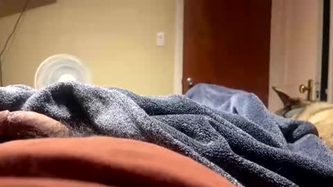 fatz71056 online show from December 23, 8:56 am