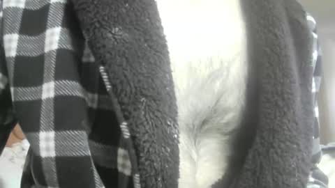 feardubh online show from February 16, 10:44 am