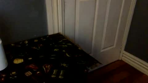 Snapshot of feetlover1888386 chatting on February 8, 1:03 pm HairyBrownGuy online show from February 8, 1:03 pm