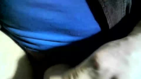 felicaste online show from January 24, 6:04 pm