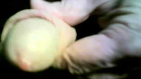 Snapshot of felicaste chatting on April 17, 9:18 pm felicaste online show from April 17, 9:18 pm