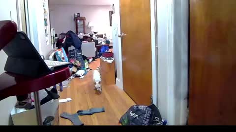 felicitybliss29 online show from November 6, 4:24 am