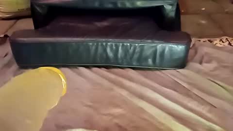 Snapshot of femboy710cum chatting on December 21, 11:24 pm femboy710cum online show from December 21, 11:24 pm