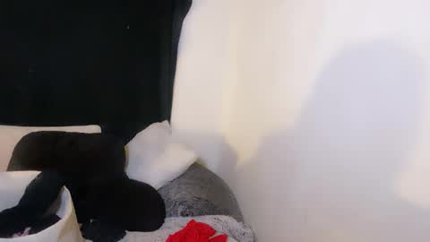 this is justice tricia a bigelow. she was fucking my husband tom girardi online show from November 2, 9:00 am