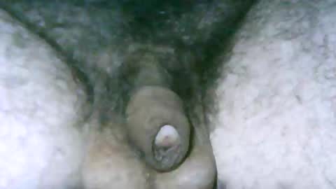 fer_2197 online show from April 16, 11:22 am