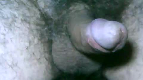 fer_2197 online show from May 29, 2:04 pm