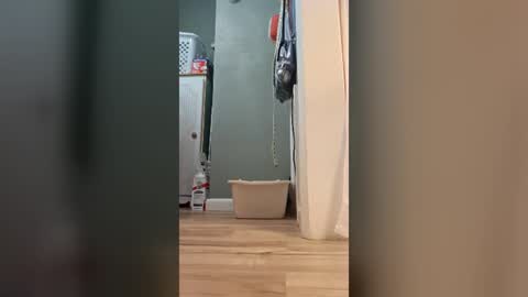fetishdad863 online show from June 13, 3:21 pm